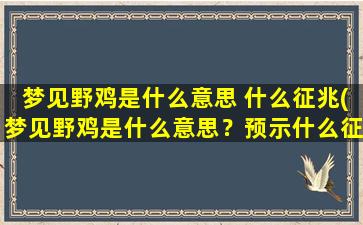 梦见野鸡是什么意思 什么征兆(梦见野鸡是什么意思？预示什么征兆？【解梦】)